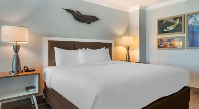 Номер Standard Dolphin Sands Clearwater Beach, an Ascend Collection Hotel