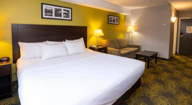 Люкс Comfort Hotel & Suites
