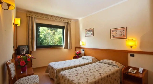 Двухместный номер Comfort Sangallo Park Hotel