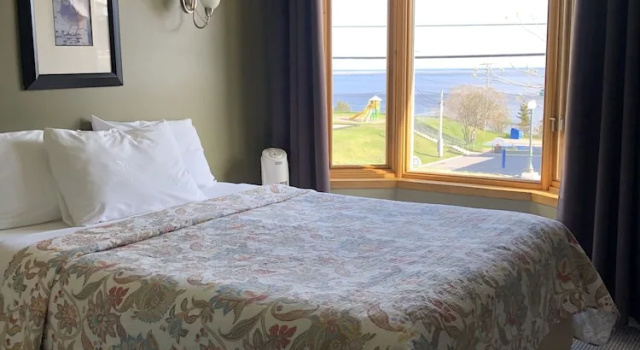Двухместный номер Standard с видом на реку Hotel Le Pionnier