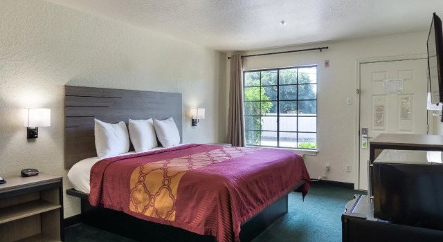 Двухместный номер Standard OYO Inn & Suites Medical Center San Antonio