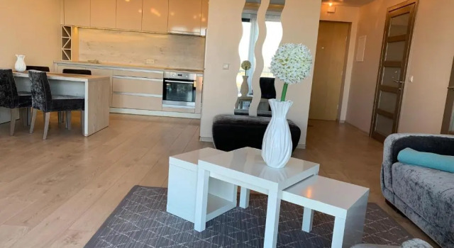Апартаменты Arunes Apartments - Daukanto