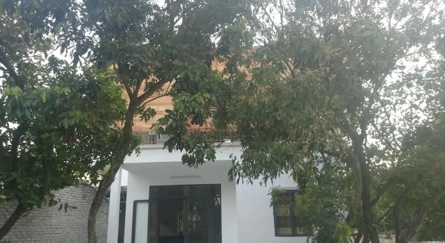 Tuyet's Homestay
