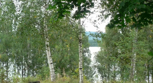 4 Person Holiday Home in Östmark, Foglalás Szálloda Torsby 