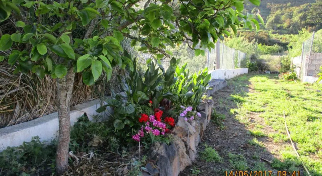 Коттедж Casa Rural Cho Agustin
