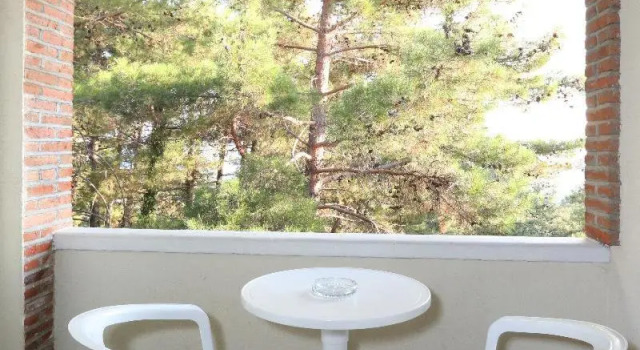 Standardowy trzyosobowy pokój i balkonem i z widokiem Forest Park Hotel