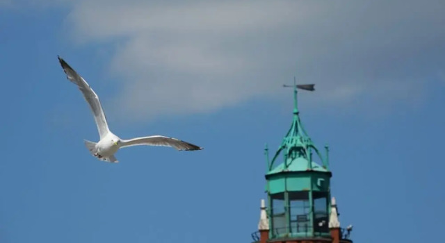 Holiday Apartment Weserweitblick, Varaa Huoneisto Bremerhaven Bremen