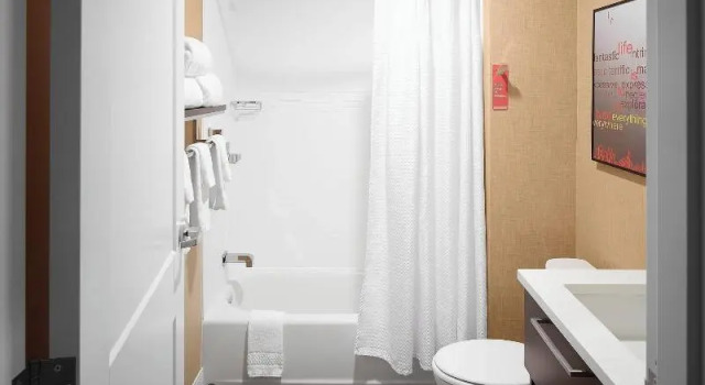 Двухместный люкс TownePlace Suites by Marriott Danville