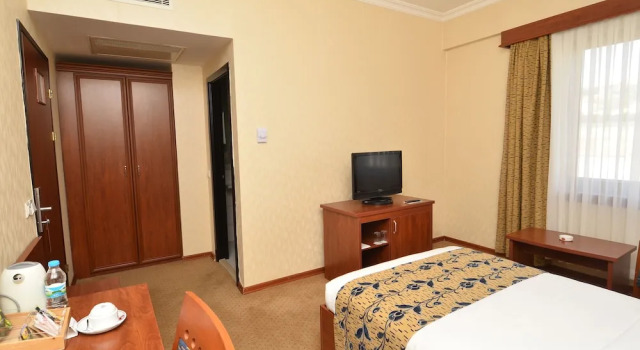 Одноместный номер Standard Akgun Elazig Hotel