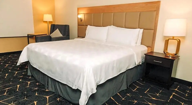 Двухместный номер Standard с красивым видом из окна Holiday Inn San Salvador by IHG