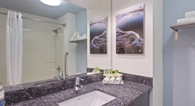 Люкс Holiday Inn Express Hotel & Suites Clearwater North-Dunedin by IHG