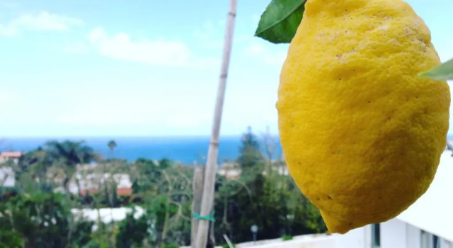Номер Standard Residence Limoneto Ischia