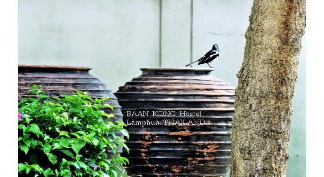 Baan Kong Hostel Lamphun