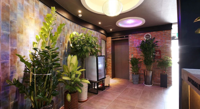 Daejeon Jung-ri Some, Prenota Hotel Hotel a Daejeon con parcheggio, Parcheggio