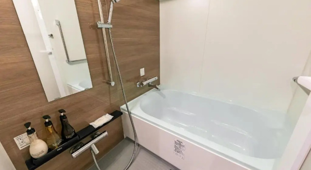 Двухместный номер Deluxe Akasaka Yoko Hotel