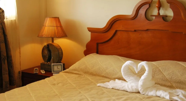 Номер Standard Hotel Oasis Bluefields