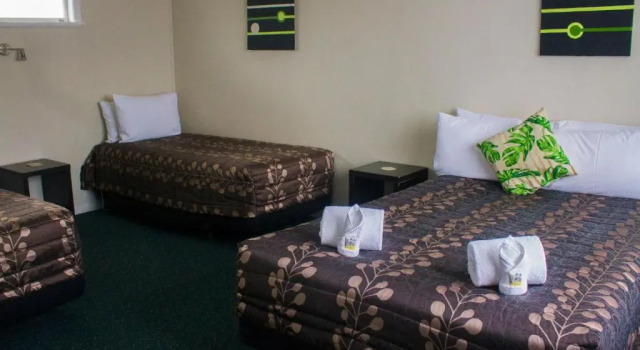 Семейный номер Standard Palm Motel Waihi