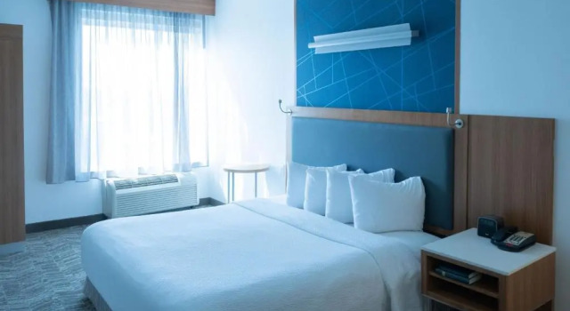 Люкс SpringHill Suites by Marriott Dallas Lewisville