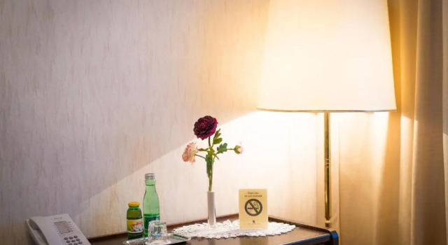 Одноместный номер Basic Hotel Mozart