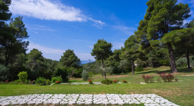 Полулюкс Цокольный этаж Forest Resort Suites Skiathos