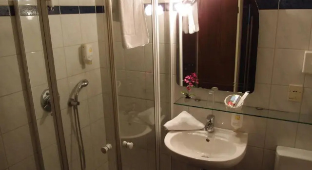 Одноместный номер Comfort Adler Hotel & Restaurant Groß-Gerau