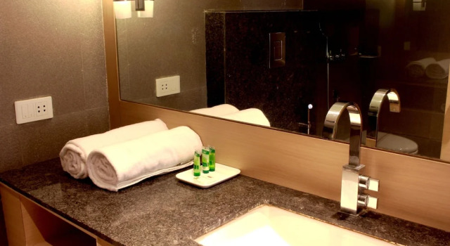 Двухместный номер Executive c 1 комнатой Hotel Swati