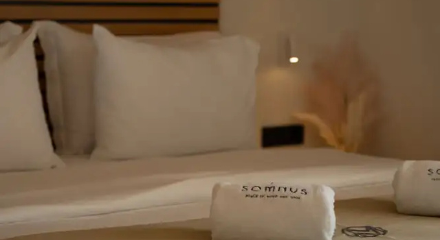 Двухместный номер Deluxe с балконом Somnus Suites