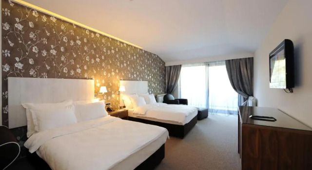 Двухместный номер Superior Hotel 1000 Ruza