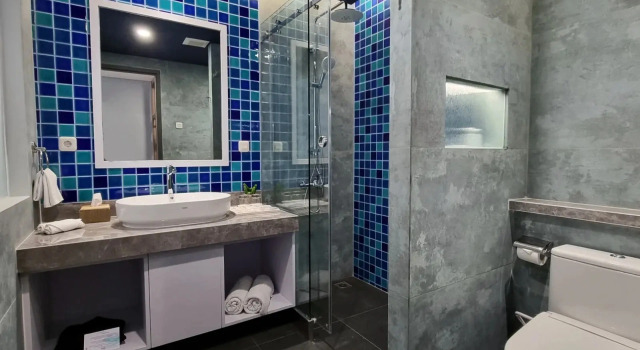 Executive Jednolůžkový pokoj Hemangini Hotel Bandung
