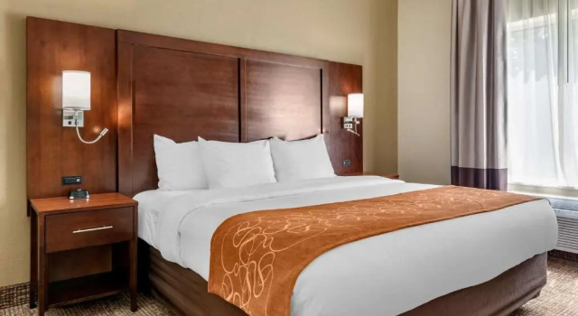 Люкс Comfort Suites Auburn near I-69
