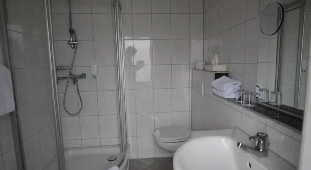 Двухместный номер Standard Hotel Linden