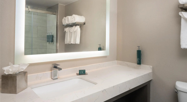 Полулюкс DoubleTree by Hilton Providence Airport Warwick