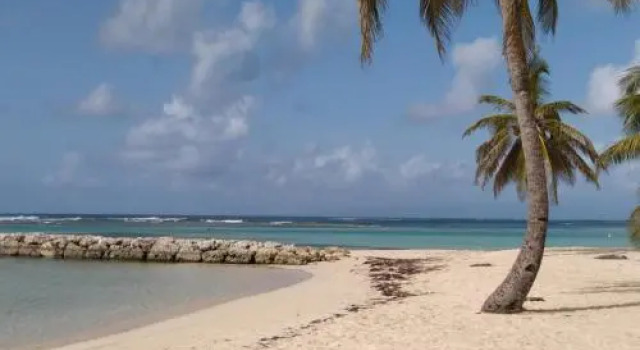Appartements: plage & commerces à 200m