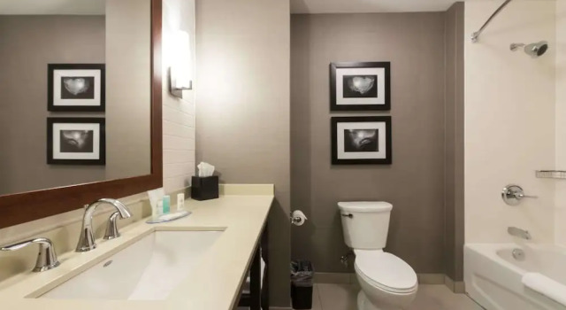 Четырёхместный номер Standard с балконом и с видом на океан Comfort Inn & Suites
