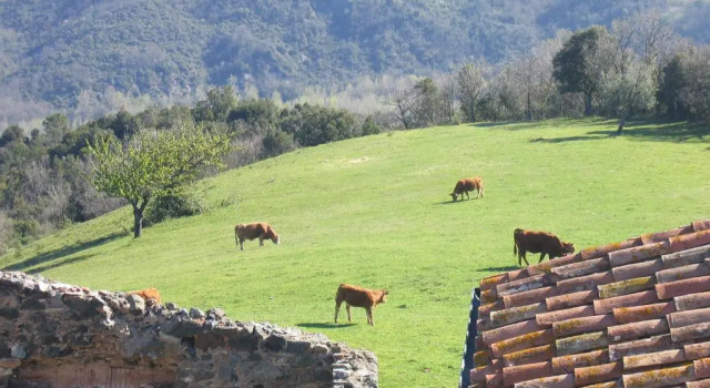 Апартаменты Borgo Cerbaiola