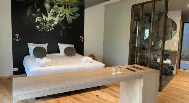 Люкс Logis Hôtel Le Bois Dormant-Hôtel Restaurant & Spa