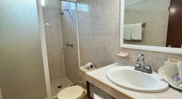 Номер Standard с видом на внутренний двор Hotel Handall Cancun