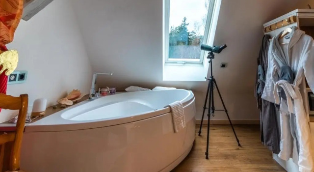 Deluxe suite Holzwerk Oybin