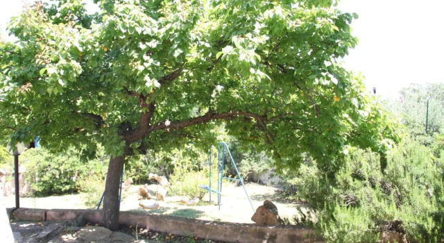 Апартаменты San Teodoro Garden House