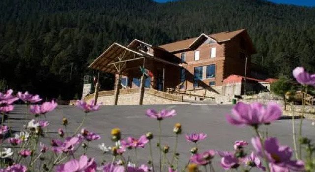 Номер Standard с видом на бассейн Bosques de Monterreal