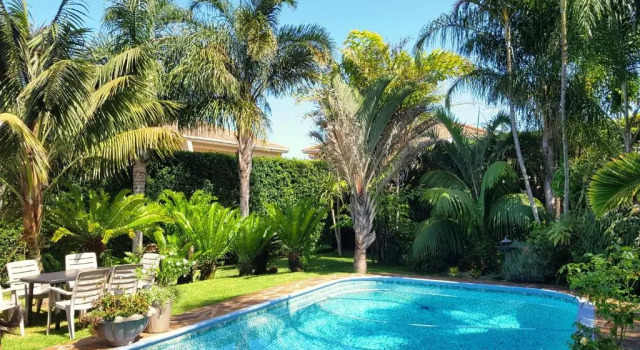 Standard quarto Kennington Palms B&B/Self Catering