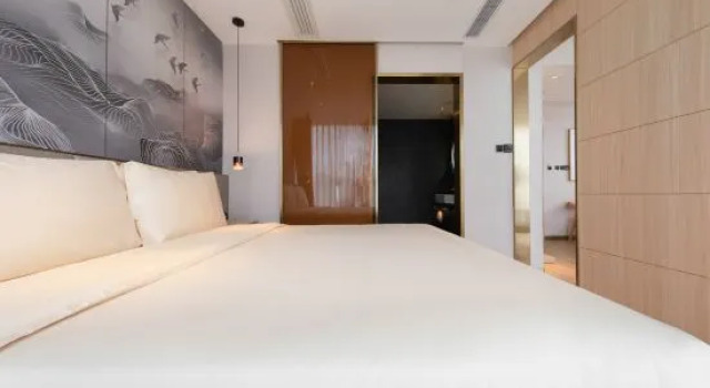 Люкс Atour X Hotel Longhua Dalang Business Center