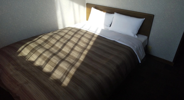 Одноместный номер Standard Hotel Route-Inn Minokamo