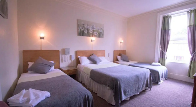 Deluxe cameră Pinegrove Hotel