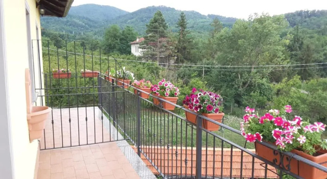 Номер Standard B&B Villa S Anna Hospitality Solutions