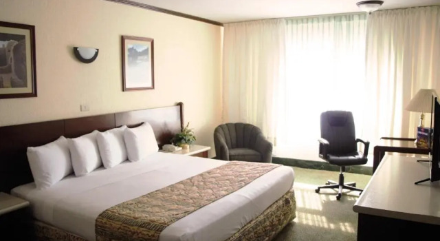 Номер Standard Hotel Sicomoro