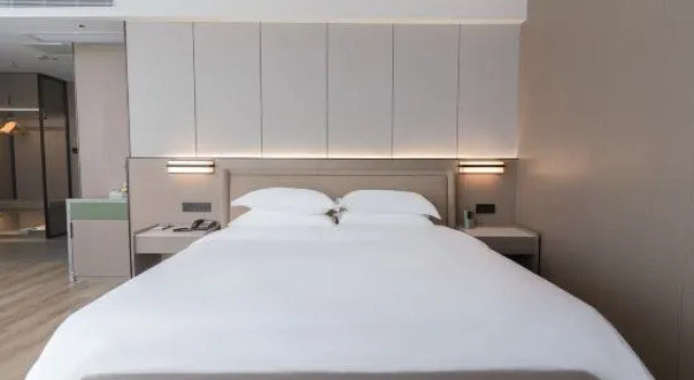 Люкс Executive Kai Century Hotel (Nantong Station Forest Wildlife Park Branch)