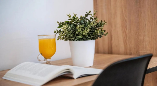 Sweet Lloret Suites - Smart Hotel
