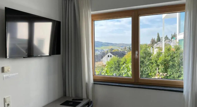 Номер Deluxe Weingut-Aparthotel Olinger