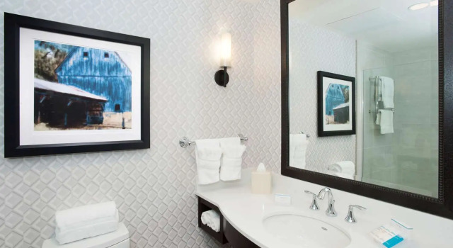 Двухместный номер Standard Hilton Garden Inn Burbank Los Angeles